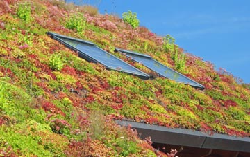 Corby Hill living roof systems